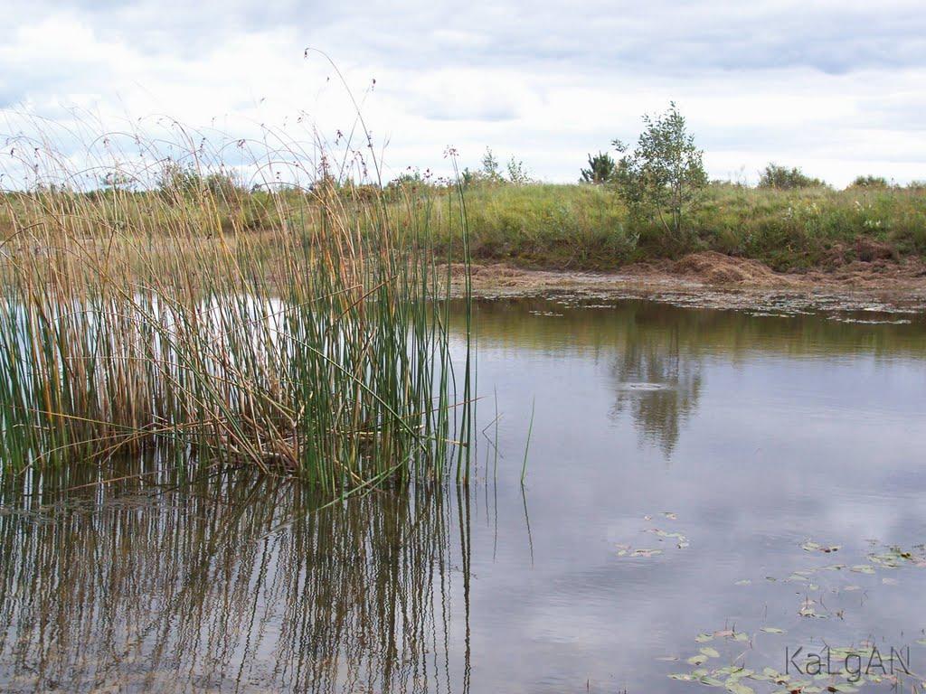 Збраньківці з panoramio.com - Збраньківці