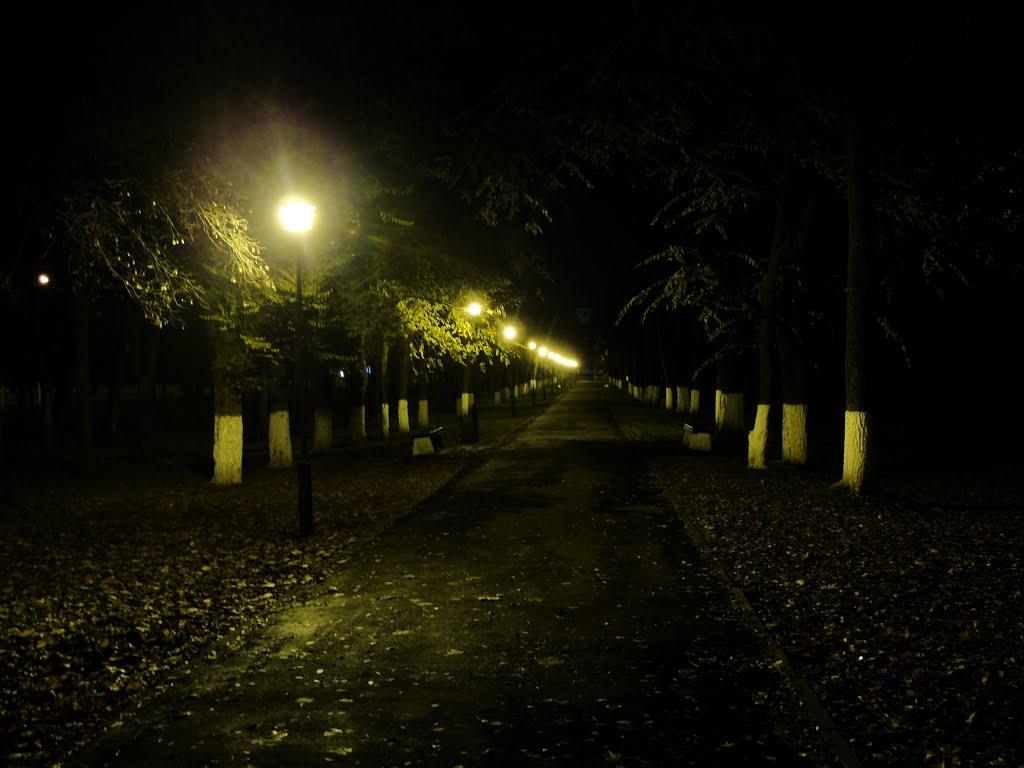 Вільногірськ з panoramio.com - Вільногірськ