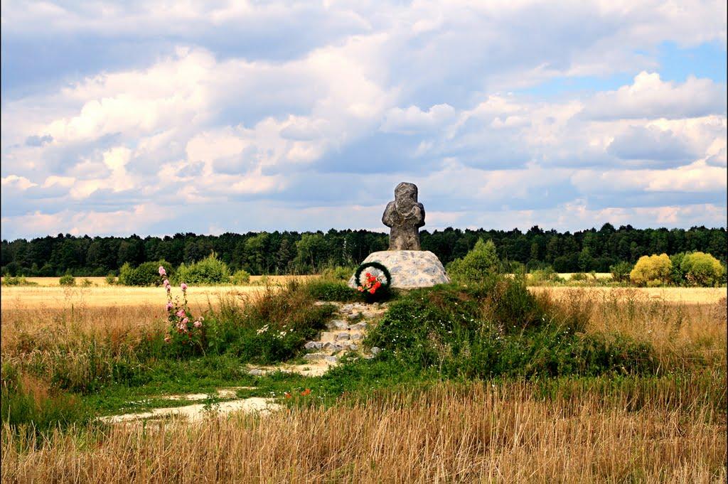 Блидні з panoramio.com - Блидні
