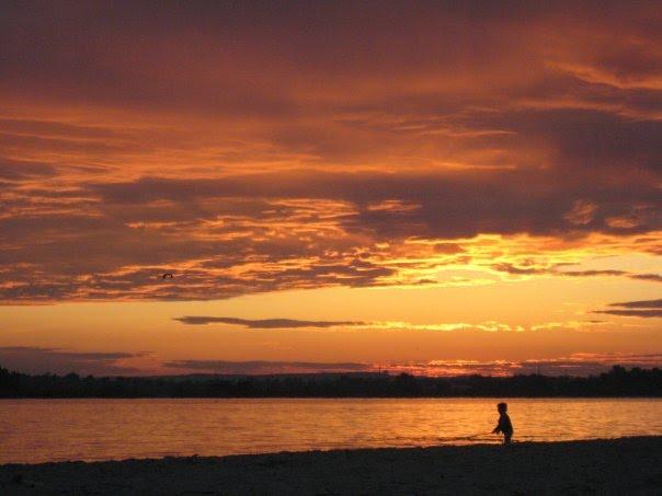 Вишеньки з panoramio.com - Вишеньки