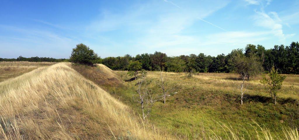 Дячківка з panoramio.com - Дячківка