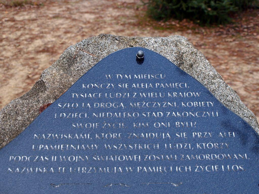 Кошари з panoramio.com - Кошари