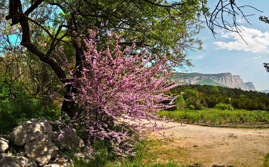 Форос з panoramio.com (ч.2) - Foros