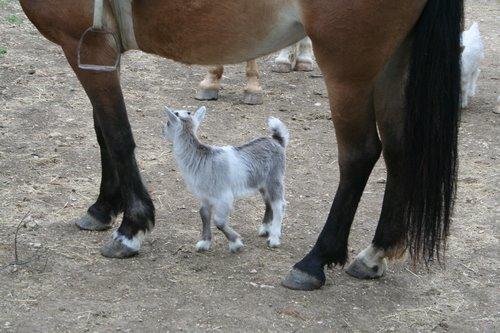 Гончарне з panoramio.com - Гончарне