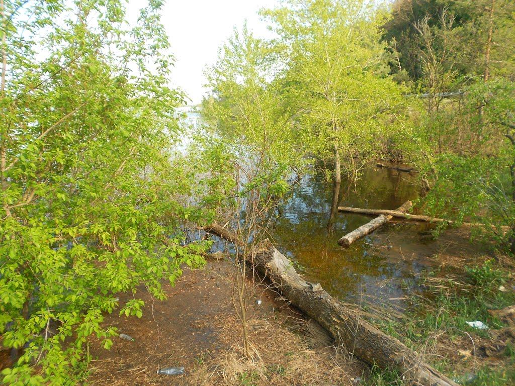 Пекарі з panoramio.com - Пекарі