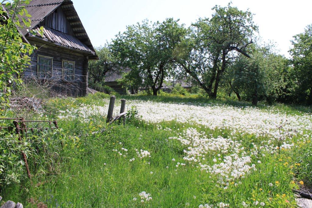 Задорожок з panoramio.com - Задорожок