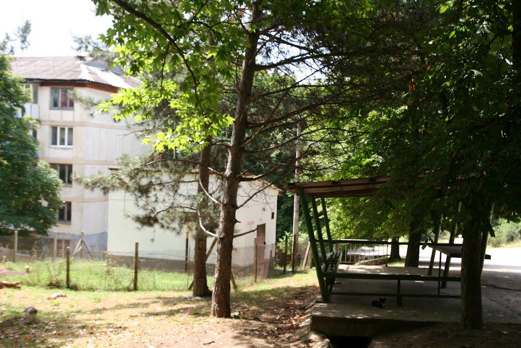 Научний з panoramio.com - Научний