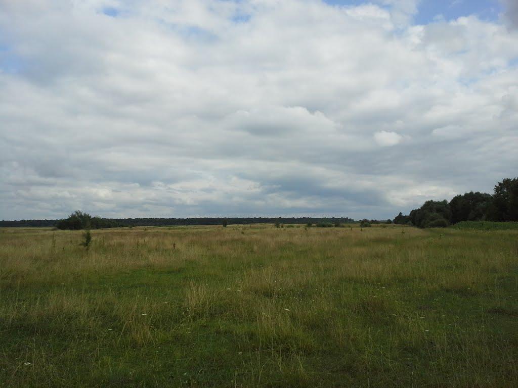 Вирка з panoramio.com - Вирка