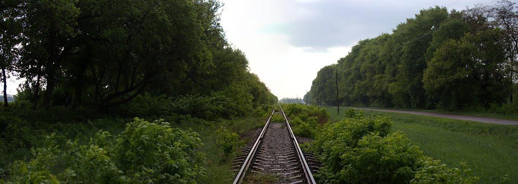 Дослідницьке з panoramio.com - Дослідницьке