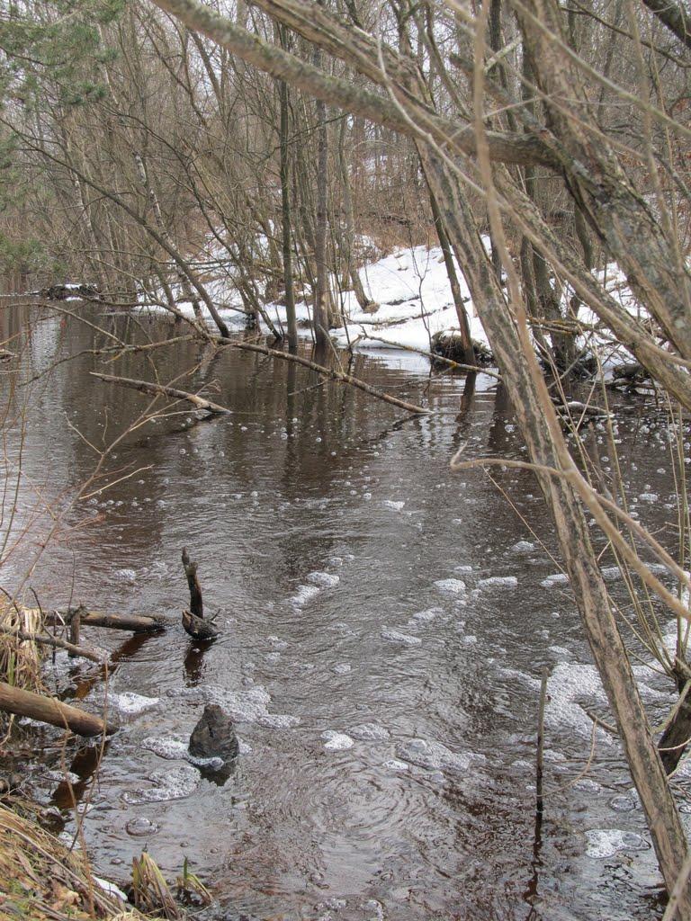 Залісся з panoramio.com - Залісся