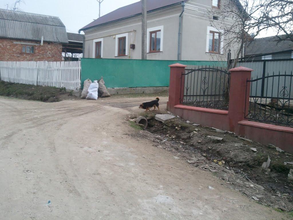 Слов'ятин з panoramio.com - Слов'ятин