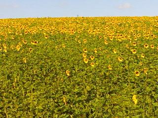 Слободище з panoramio.com - Слободище