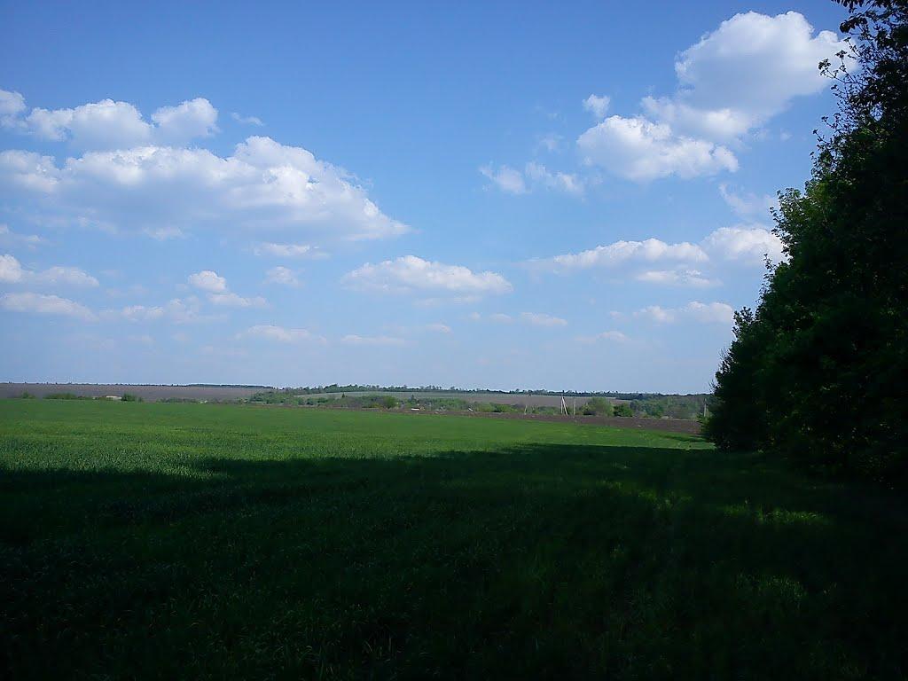 Долинівка з panoramio.com - Долинівка