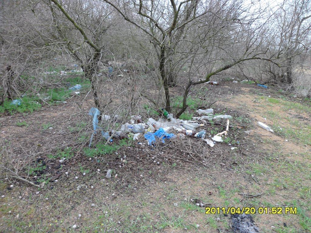 Челядінове з panoramio.com - Челядінове