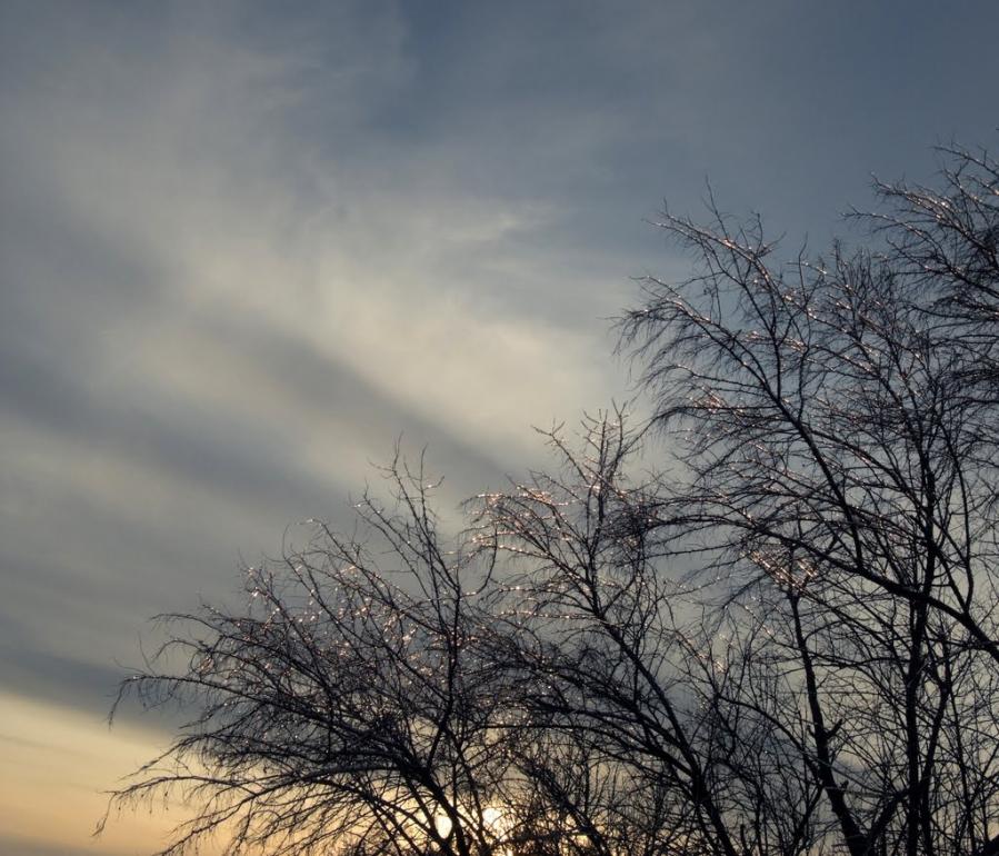 Шкільне з panoramio.com - Шкільне