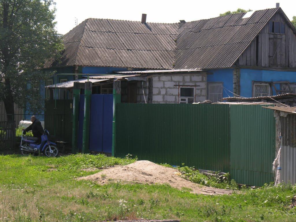 Олександрія з panoramio.com - Александрия