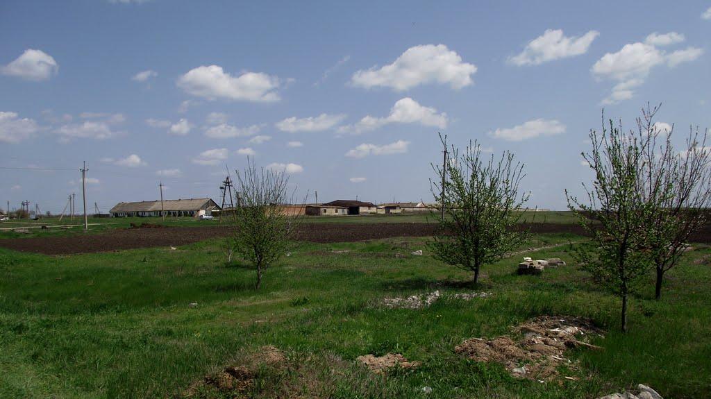 Українка з panoramio.com - Українка