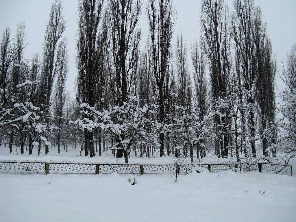 Кремінне з panoramio.com - Кремінне