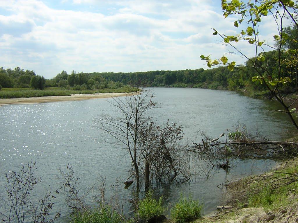 Бондарівка з panoramio.com - Bondarivka