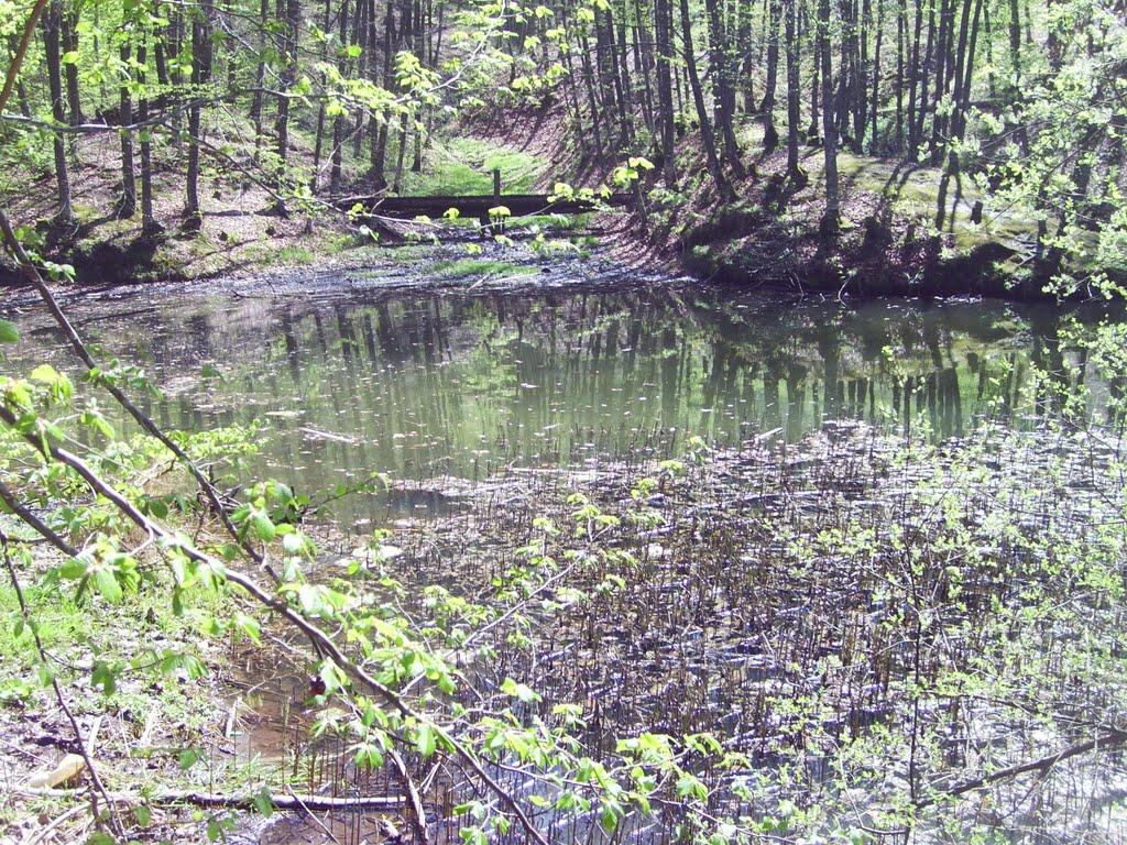 Стройне з panoramio.com - Стройне