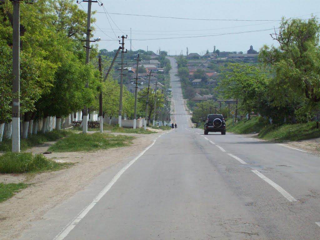 Василівка з panoramio.com - Василівка