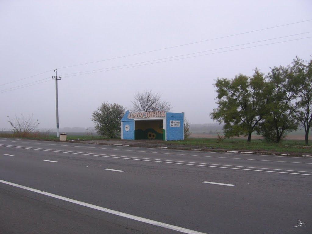 Панкратове з panoramio.com - Панкратове