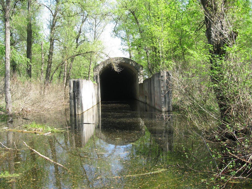 Лісники з panoramio.com - Лісники