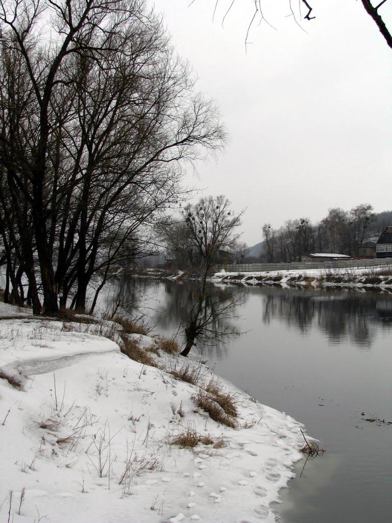 Задонецьке з panoramio.com - Задонецьке