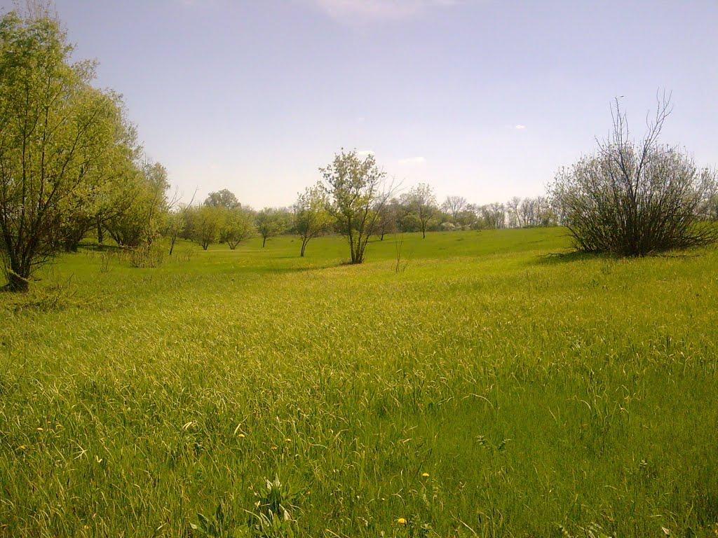 Першотравенка з panoramio.com - Першотравенка