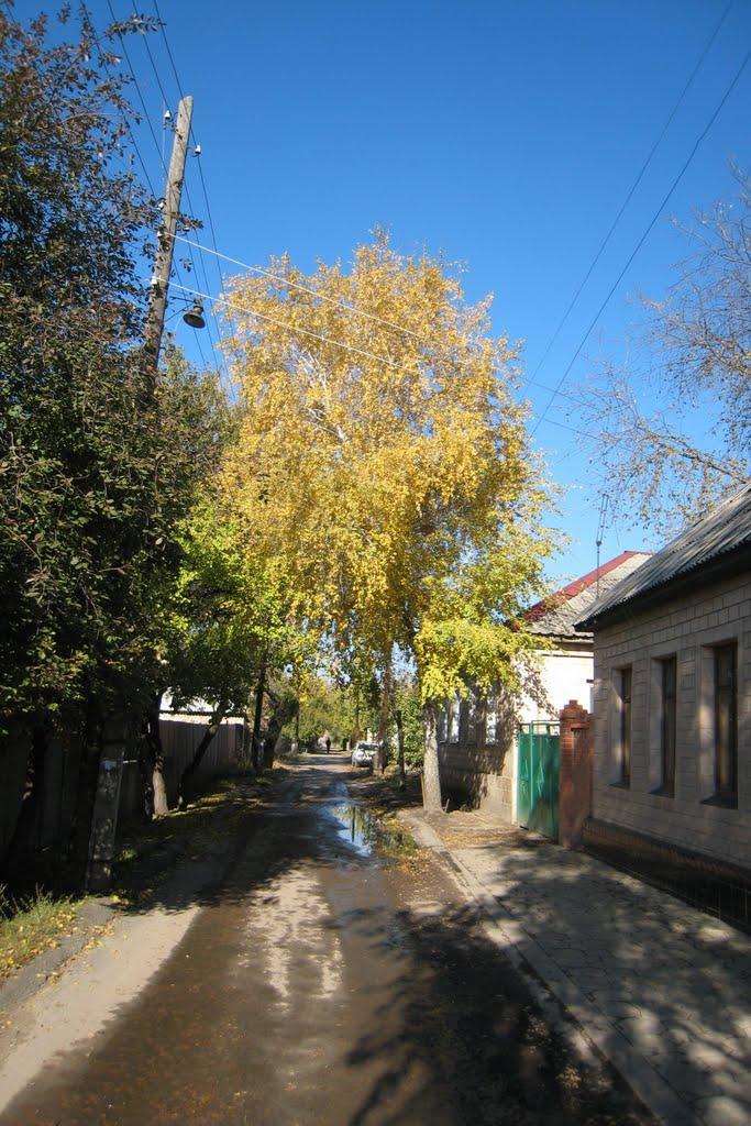 Луганськ з panoramio.com (ч.7) - Луганск