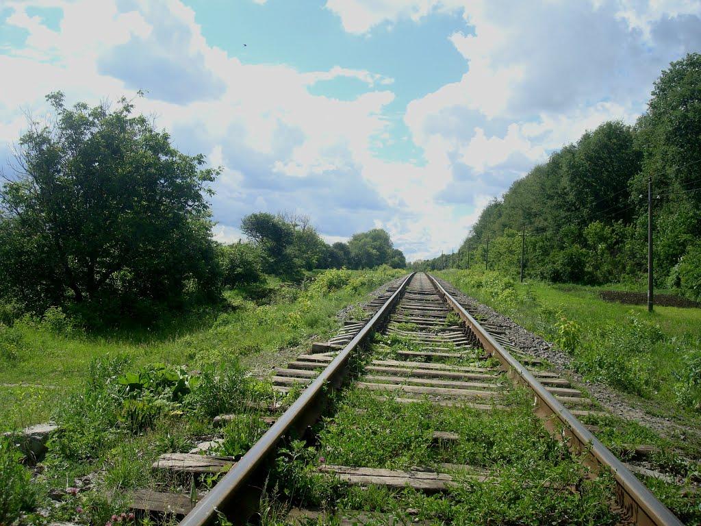 Нове Село з panoramio.com - Нове Село