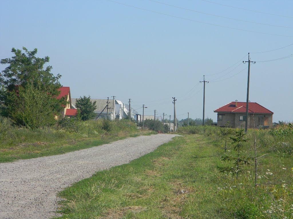 Білозір'я з panoramio.com - Білозір'я