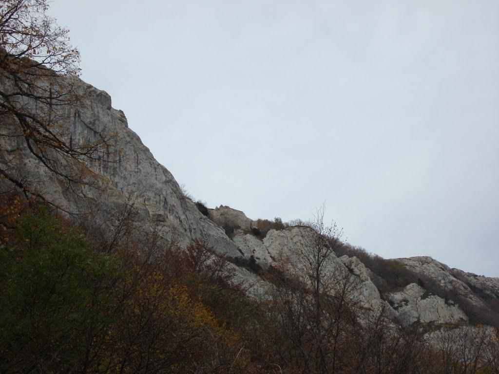 Лаванда з panoramio.com (ч.2) - Lavanda