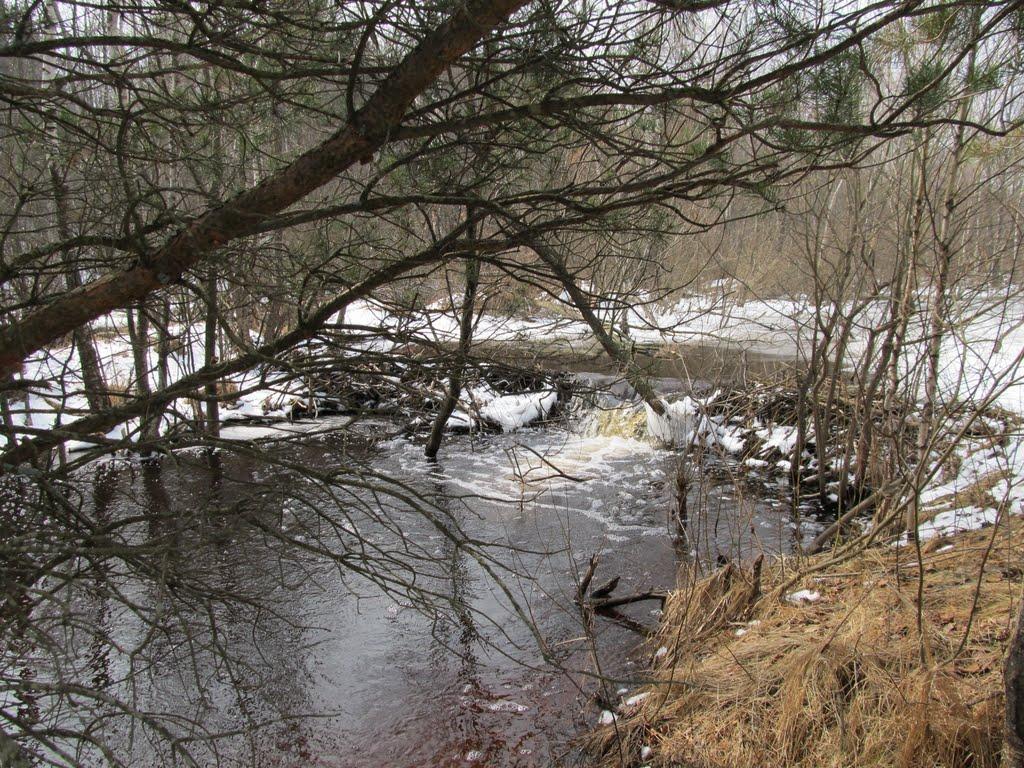 Залісся з panoramio.com - Залісся