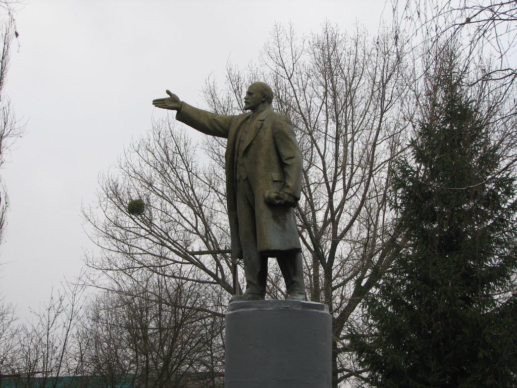 Мусіївка з panoramio.com - Мусиевка