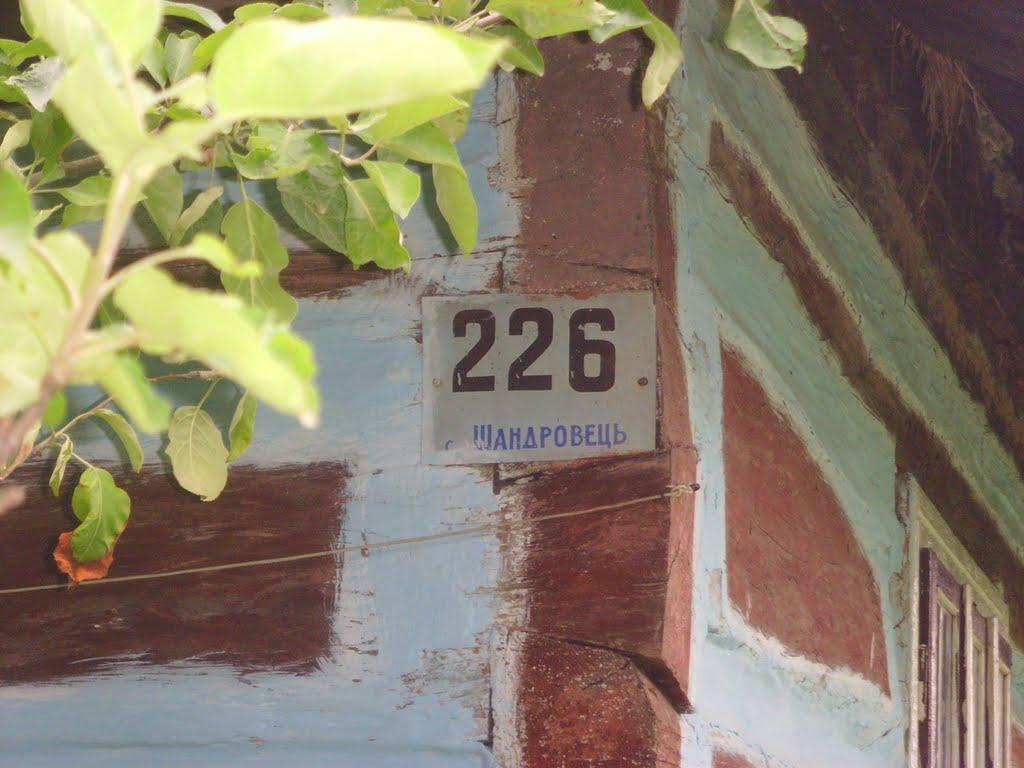 Шандровець з panoramio.com - Шандровець