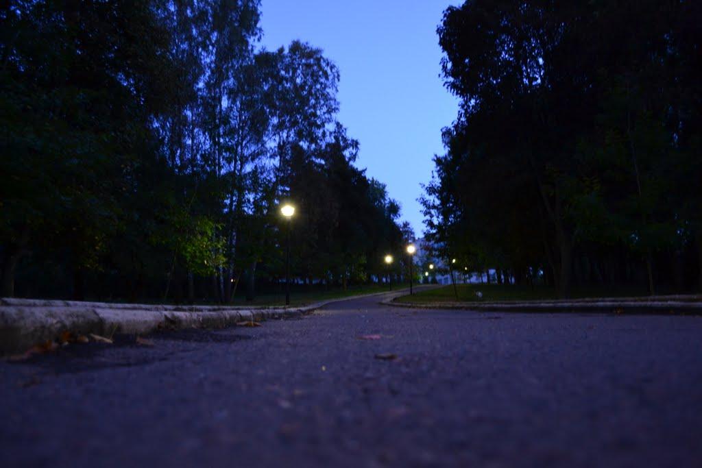 Дубляни з panoramio.com - Дубляни