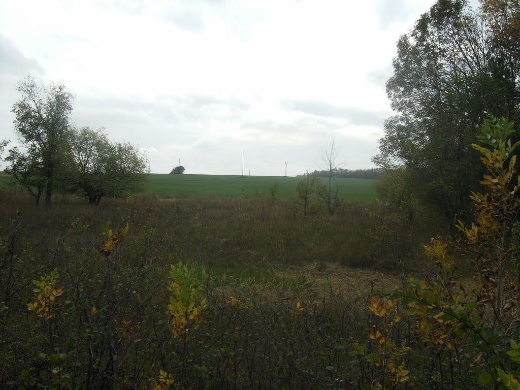 Лисичанськ з panoramio.com (ч.3) - Lysychansk