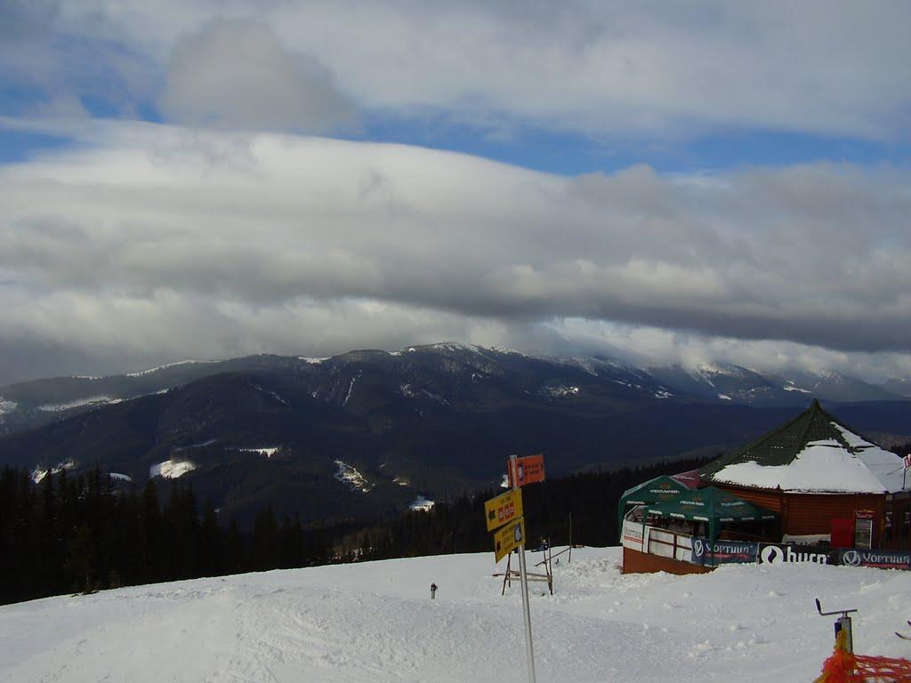 Паляниця з panoramio.com (ч.4) - Palyanytsya