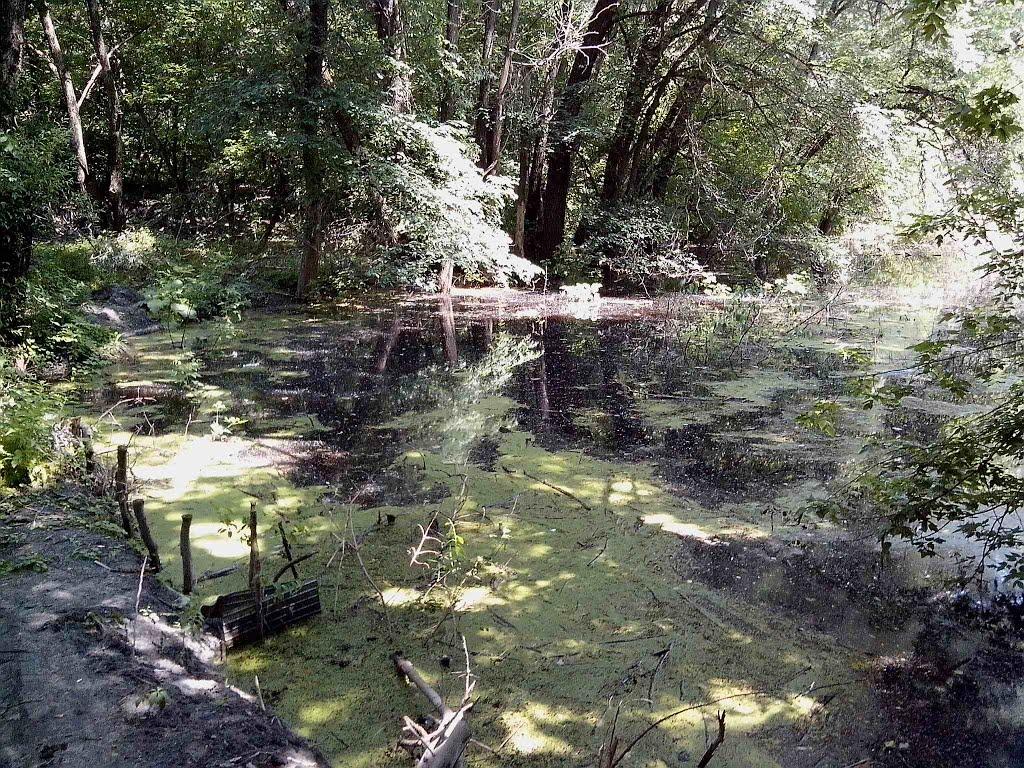 Приліпка з panoramio.com - Прилипка