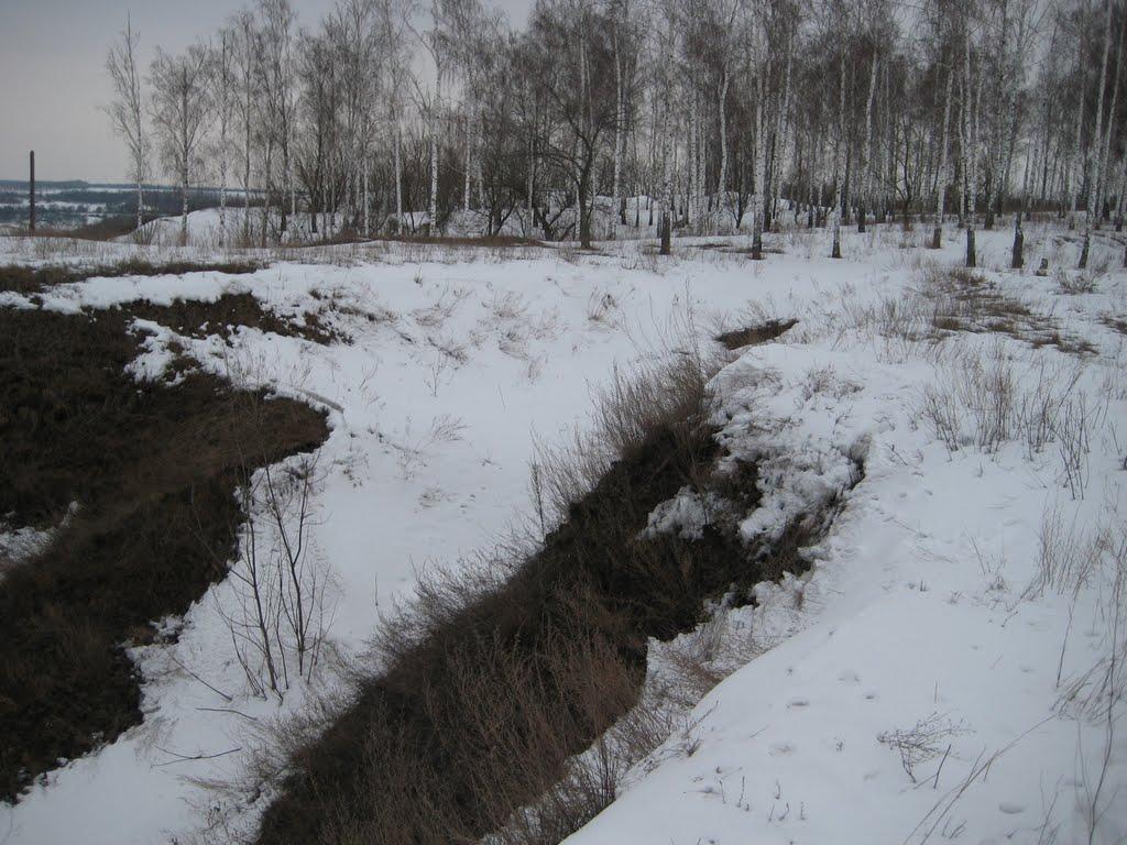 Срібне з panoramio.com - Срібне