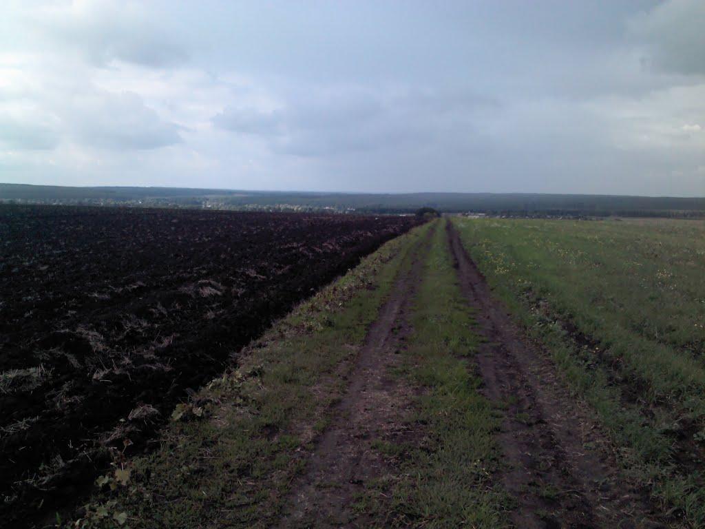 Стара Водолага з panoramio.com - Стара Водолага