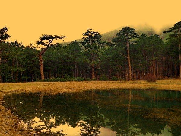 Совєтське з panoramio.com (ч.2) - Советское