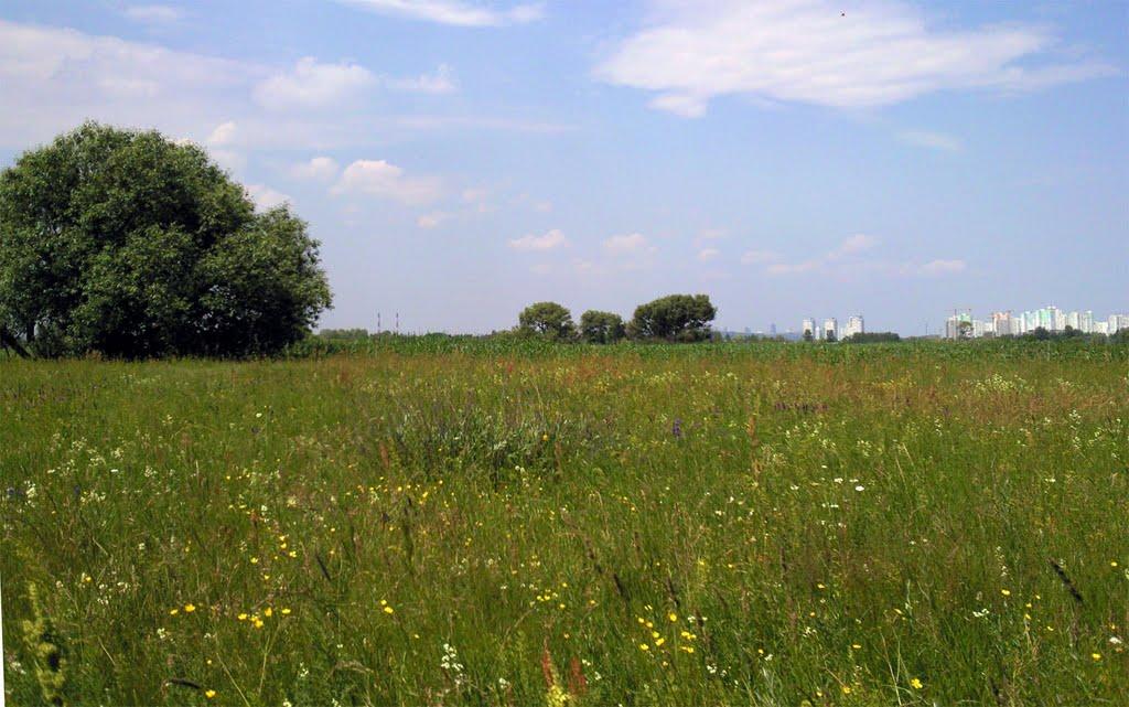 Гнідин з panoramio.com (ч.3) - Gnidyn