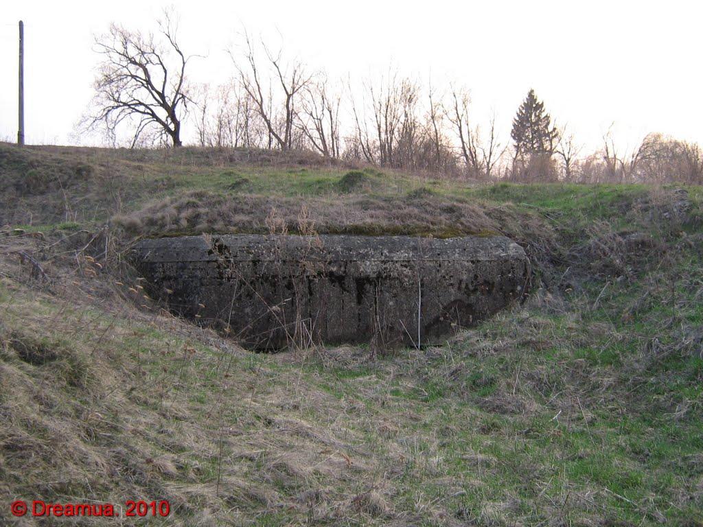 Черешенька з panoramio.com - Черешенька