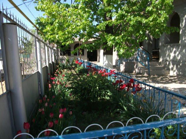 Лісне з panoramio.com - Лісне