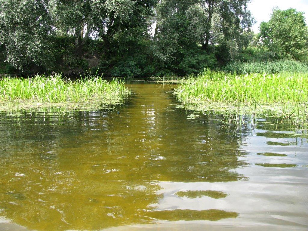 Гавронці з panoramio.com - Гавронці