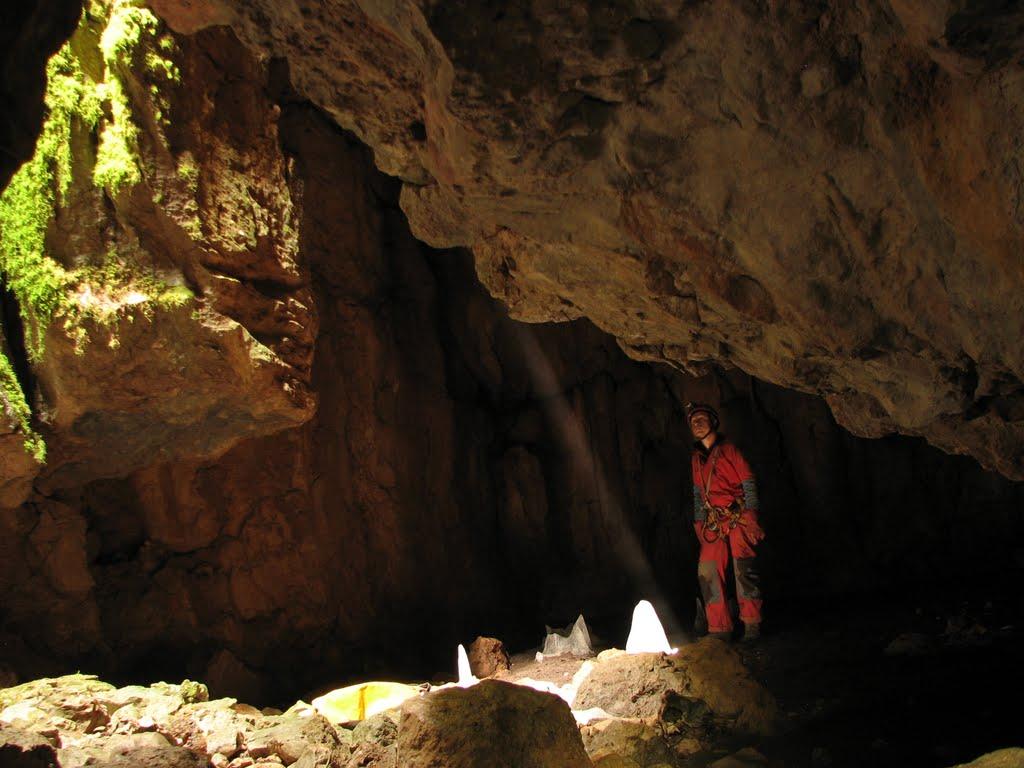 Пчолине з panoramio.com - Пчелиное