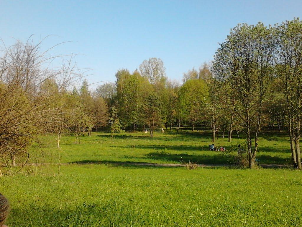 Рівне з panoramio.com (ч.5) - Ровно