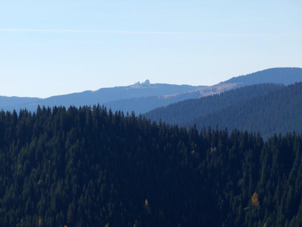 Випчина з panoramio.com - Випчина